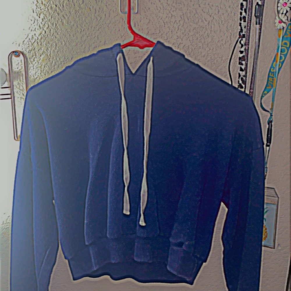 A crop hoodie from forever 21